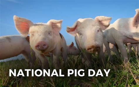 When Is Pig Day