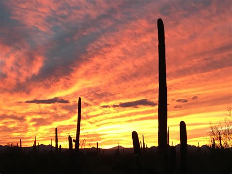 when is sunset today in tucson