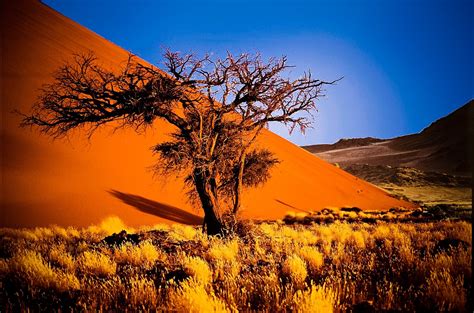 when is the best time to travel to namibia