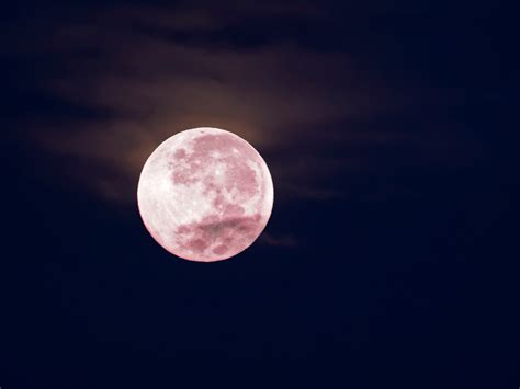 when is the pink moon astronomy