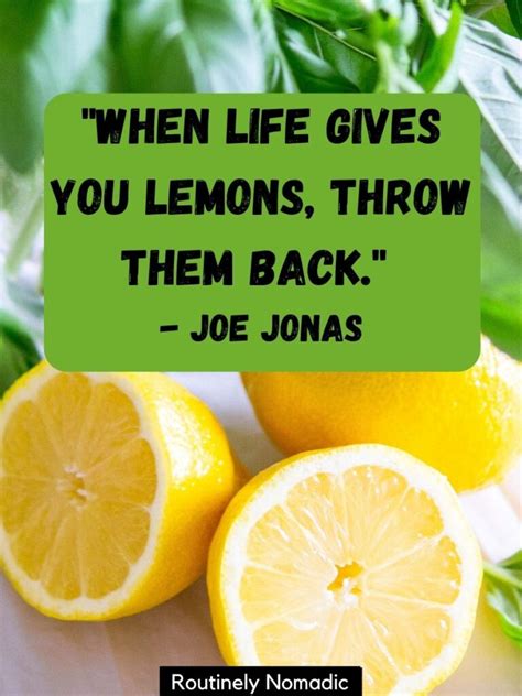 When Life Throws You Lemons...funny Quotes