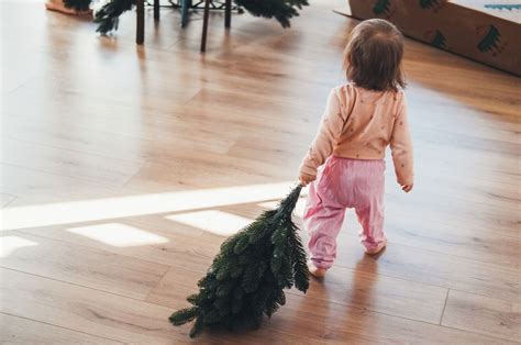 When Should Take Christmas Tree Down