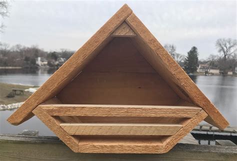 When Should You Put Up A Robin Nesting Box