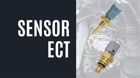When Testing The Ect Sensor With The Connector Disconnected