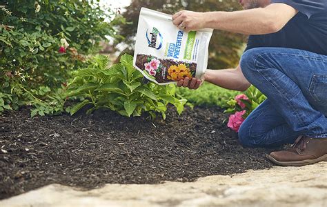 How to Apply Pre Emergent Herbicide Granules Spring PreEmergent Weed