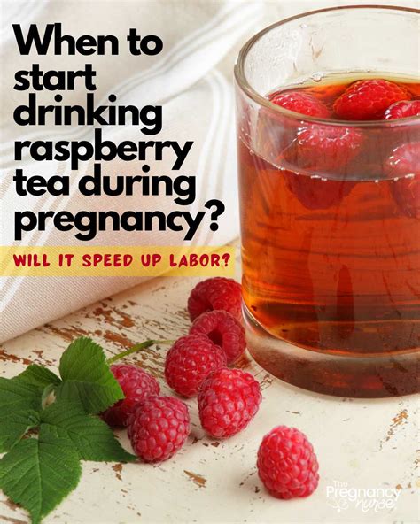 when to begin drinking raspberry leaf tea