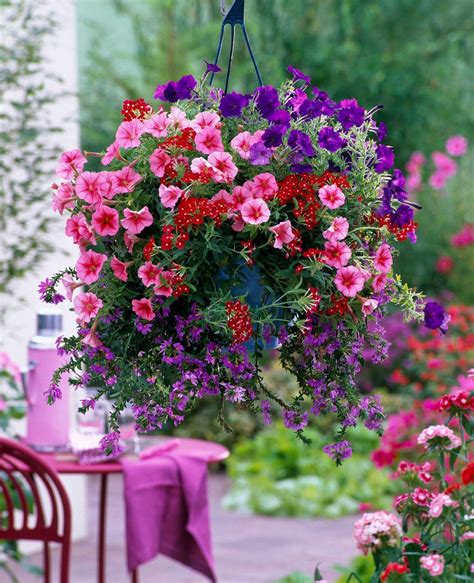 When To Do Hanging Baskets