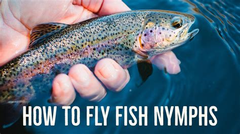When To Fish Nymphs