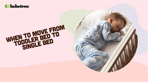 When To Move From Toddler Bed To Single Bed