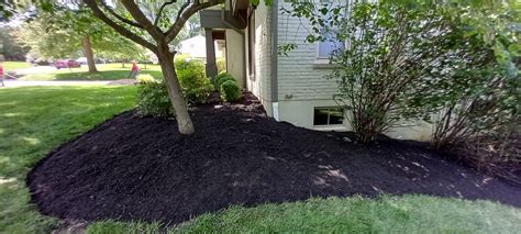 When To Mulch Garden Bed