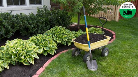 When To Mulch Yard
