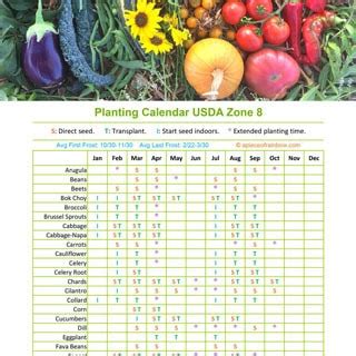 When To Plant Vegetables By Zip Code