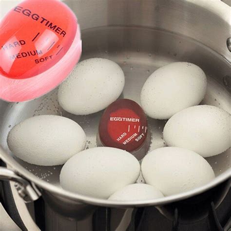 When To Put Egg Timer In The Water
