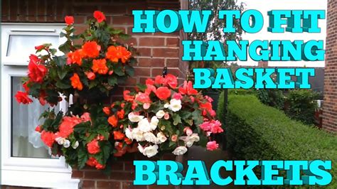 When To Put Up Hanging Baskets