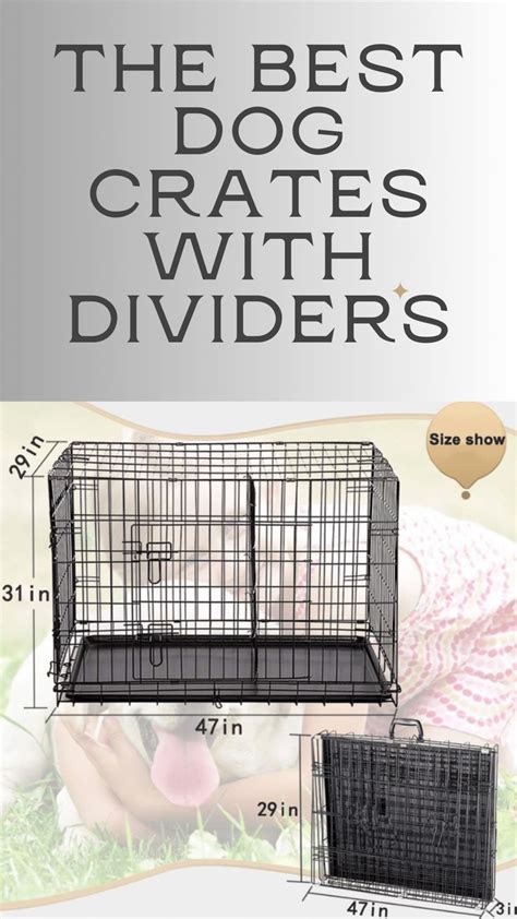 When To Remove Crate Divider