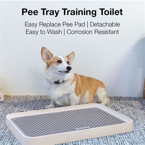 When To Replace Pee Pad