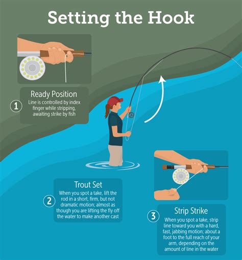 When To Set The Hook Fishing