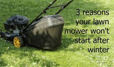 When Do I Start Mowing My Lawn? Organically Green