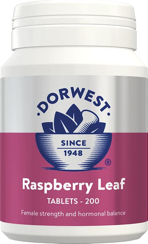 when to start raspberry leaf tablets in pregnancy