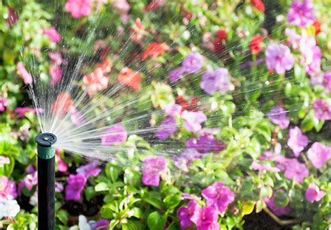 What is a Sprinkler Spring Start Up? Controlled Rain