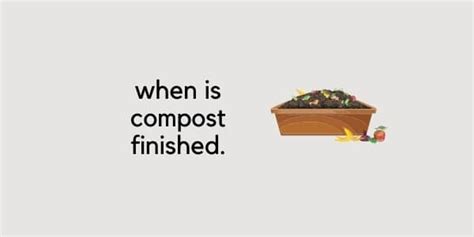 When To Stop Adding To Compost