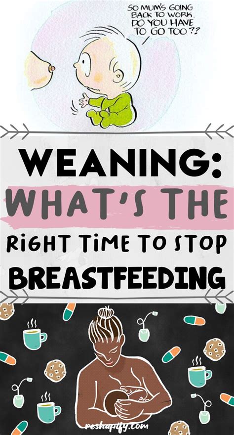 Weaning Wisdom: Knowing When to Stop Breastfeeding for Good