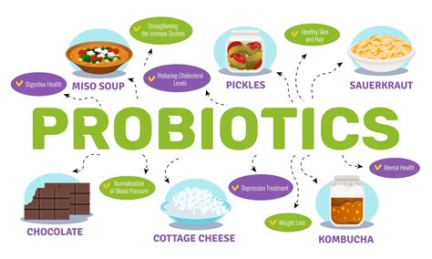 Unlock Your Gut Health: When to Take Probiotics Daily