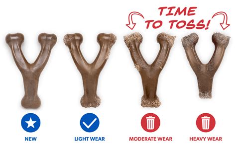 When To Throw Nylabone Away