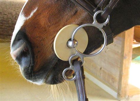 When To Use Bit Guards