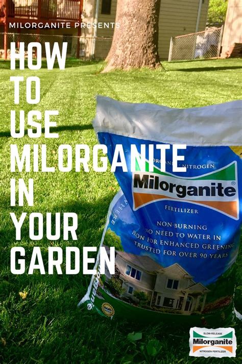 Use to overseed your lawn this spring. It is the perfect