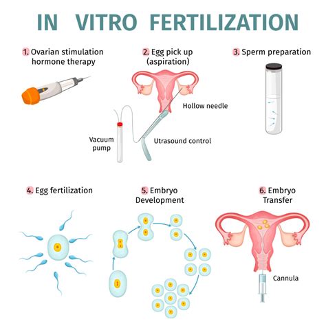 when was in vitro fertilization developed