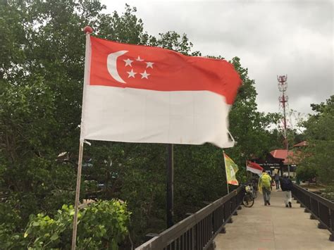 when was singapore flag created