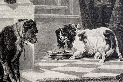 When Was The First Dog Invented