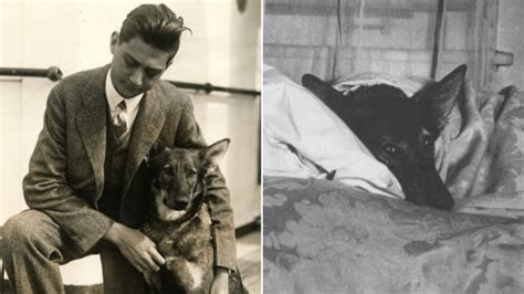 When Was The First Guide Dog