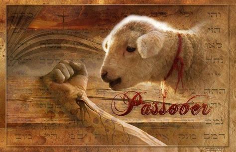 when was the passover lamb sacrificed