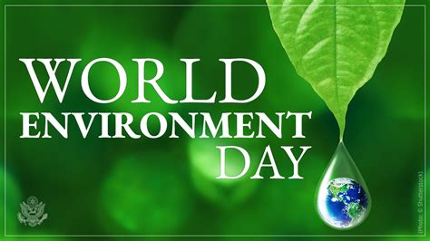 when we celebrate world environment day