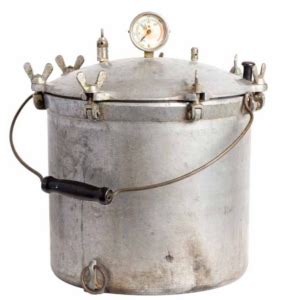 When Were Pressure Canners Invented