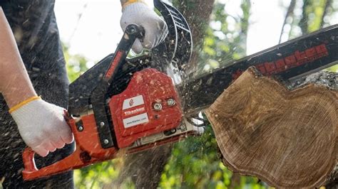 when were tools invented