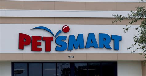 Updates on When Will PetSmart Open Dog Grooming