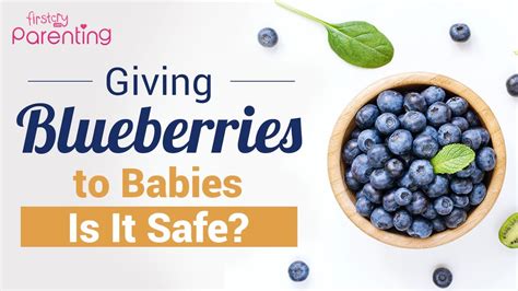 Blueberries Fat Loss