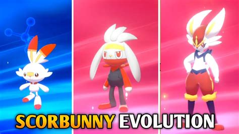 When does scorbunny evolve?