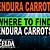 where can i buy endura carrots