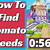 where do i find tomato seeds in dreamlight valley