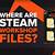 where do steam workshop files go