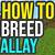 where do you find allays in minecraft