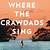 where the crawdads sing movie release date