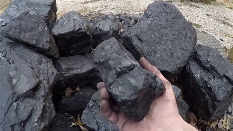 imports 2.3 million tons of coal tn the first 6 months