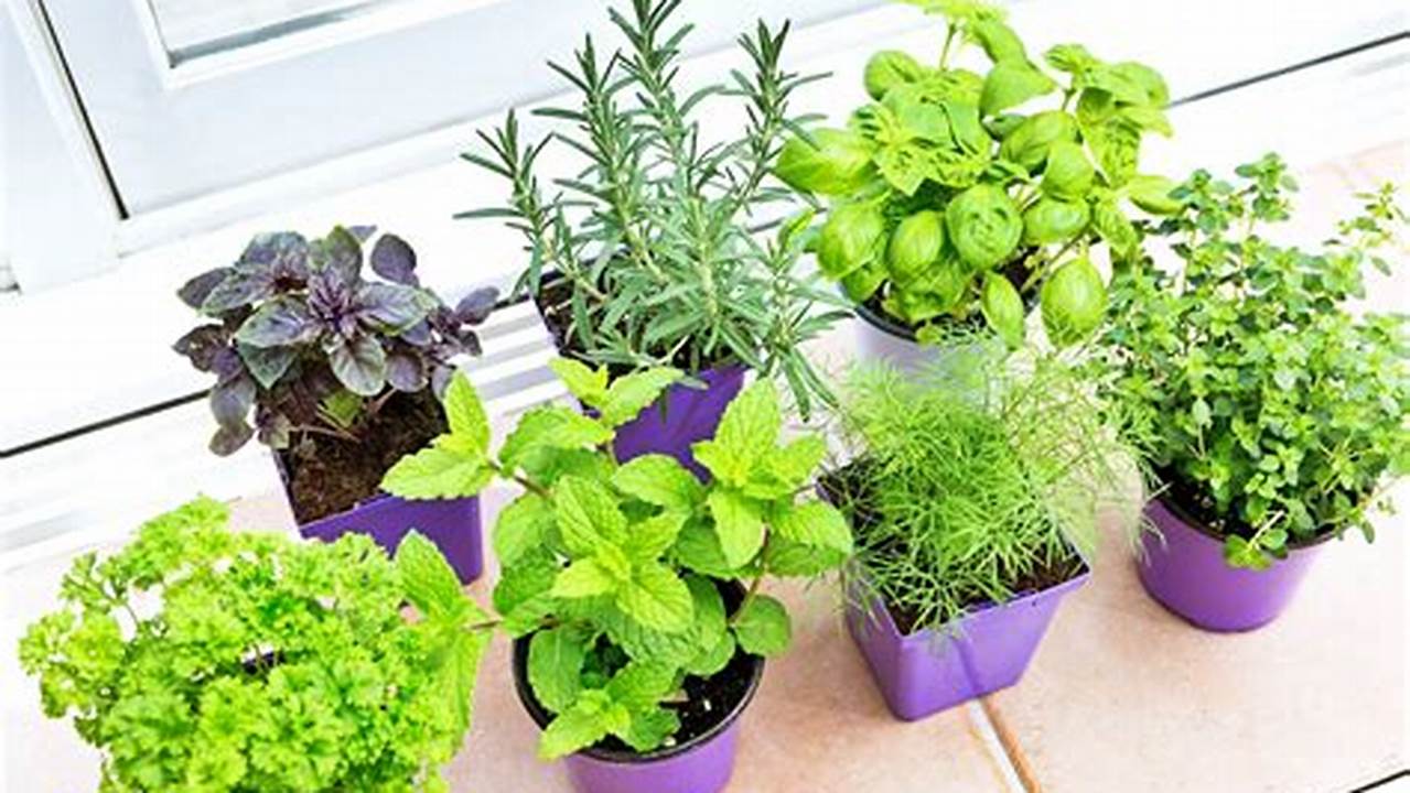 Unlock the Secrets to Abundant Herb Gardens: Find Herb Plants Near You