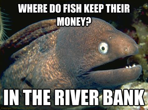 Where Do Fish Keep Their Money Joke 50 Hilarious Laugh