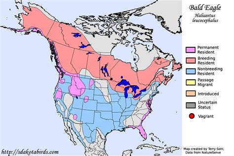 where are bald eagles native to